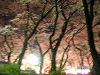 s_PICT0013_thumb.png